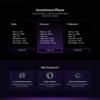 Goldcoders HYIP Template 62
